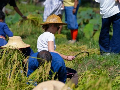 SS Rice News Convention 2025, Pattaya - Thailand